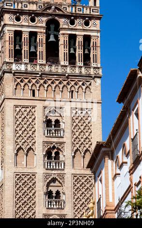 Cattedrale,dettaglio della torre Giralda,Sevilla,Andalucia,Spagna Foto Stock