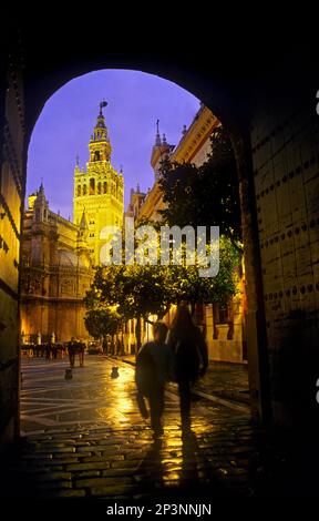 Cattedrale come si vede dal Royal Alcazar (Cortile di Banderas). Siviglia, in Andalusia, Spagna. Foto Stock