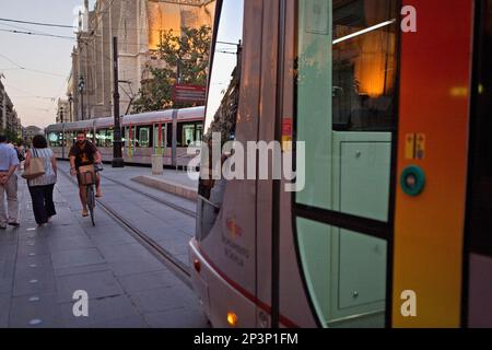 La Constitución Ave. Bicicletta e tram. Siviglia, in Andalusia, Spagna. Foto Stock