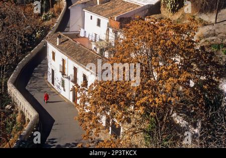 Case Troglodite. Grotta case troglodite Sacromonte trimestre (Gipsy trimestre), Granada, Andalusia, Spagna, Europa. Foto Stock