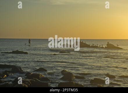 Donna pagaia surf al tramonto a Punta del Este, Maldonado, Uruguay, Sud America Foto Stock