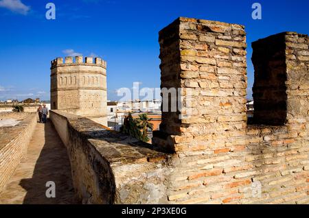 Pareti di Alcazar, del XII secolo, Jerez de la Frontera, Andalusia, Spagna Foto Stock