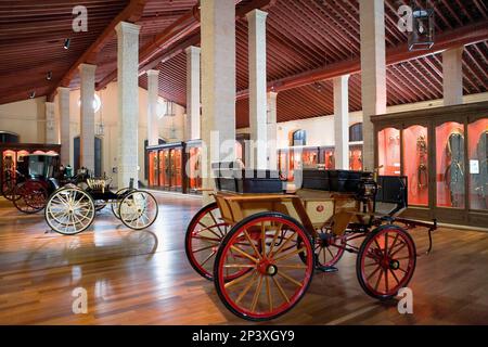 Museo delle carrozze della Scuola reale Andalusa di Arte Equestre Real Escuela Andaluza del Arte Equadre. Jerez de la Frontera. Provincia di Cádiz, Andalus Foto Stock