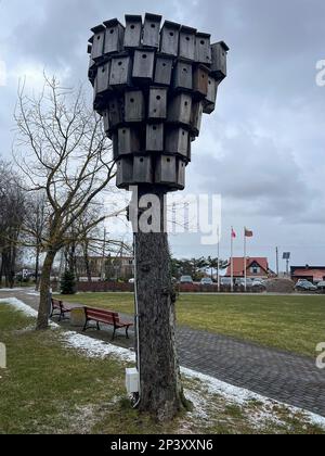 Klaipeda, Lituania. 05th Mar, 2023. Scelta e competizione per lo spazio come scatole di uccelli sono crammed in cima ad un albero in un parco in Klaipeda Lituania. Oggi, 5th marzo 2023, i lituani hanno votato per oltre 13000 candidati per 1498 seggi nei consigli locali. I sindaci vengono eletti anche nei 60 comuni lituani. Klaipeda Lituania. Picture: Garyroberts/worldwidefeatures.com Credit: GaryRobertsphotography/Alamy Live News Foto Stock