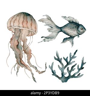Set di poster degli animali marini. Blu, verde, marrone acquerello guscio dell'oceano, acquario del pesce, corallo, medusa. Fauna marina nautica illustrazione Foto Stock