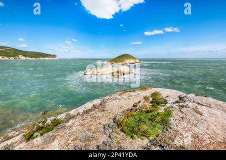 Sopra le scogliere sulla costa di Vieste. Estate costa rocciosa del mare Baia di campi Vieste sulla penisola del Gargano, Puglia, Italia Foto Stock