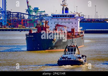 Hermes, un rimorchiatore di Rotortug di proprietà di Seabulk Towing, si avvicina petroliera Overseas Cascade vicino al Porto di Mobile, 4 marzo 2023, a Mobile, Alabama. Foto Stock