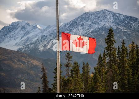 Bandiera canadese di foglia di acero visto volare mezzo albero su un palo di bandiera nel Canada settentrionale durante l'autunno, stagione autunnale con sbalorditive montagne innevate. Foto Stock