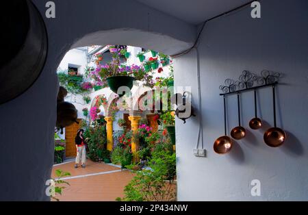 Cordoba.Andalusia. Spagna: Tipico cortile, in 8 Parras street Foto Stock