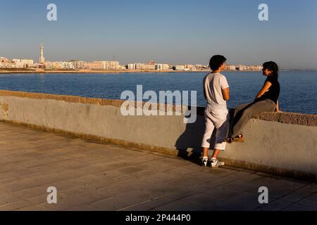 Matura in argine del campo del Sur. Cádiz, Andalucía, Spagna Foto Stock