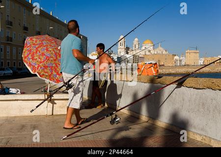 Gli amici di pesca in argine del campo del Sur. Cádiz, Andalucía, Spagna Foto Stock