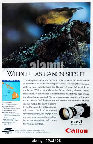 Canon EOS 1 spot in una rivista NatGeo aprile 1991 Foto Stock