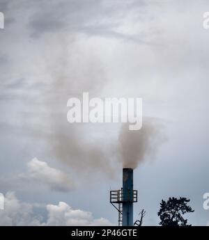 Fumo pesante da un camino contro un cielo inquinato. Nuova Zelanda. Formato verticale. Foto Stock