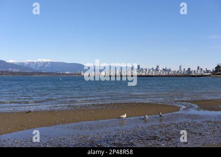 Skyline della città di Vancouver da Jericho Beach in inverno, Vancouver, British Columbia, Canada Foto Stock