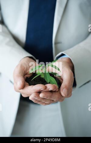 Favorire la crescita. Immagine ritagliata di mani che tengono una piccola pianta che cresce nel suolo. Foto Stock