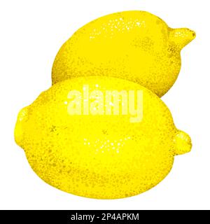 Limone giallo agrumi isolato su sfondo bianco vettore art. Illustrazione Vettoriale