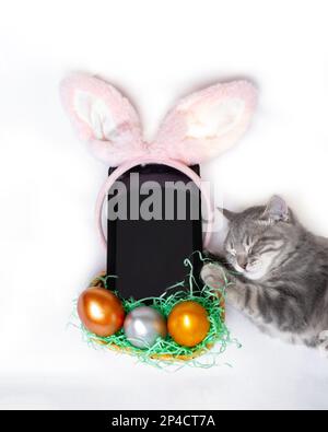 Un piccolo gattino grigio che si trova accanto a un telefono, una tavoletta con orecchie rosa di coniglio e un cesto con uova colorate, un mockup, una vista dall'alto. Shopping di Pasqua online Foto Stock