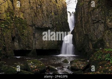 Cascata che scorre attraverso stretta gola, Catrigg Force, Stainforth Beck, Stainforth, Yorkshire Dales N. P. North Yorkshire, Inghilterra, Regno Unito Foto Stock