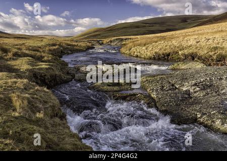 Vista del fiume che scorre attraverso habitat brughiere, fiume Elan, Elan Valley, Rhayader, Powys, Mid Wales, Regno Unito Foto Stock