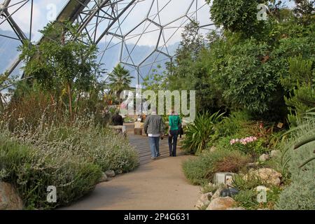 Visitatori a piedi nel Bioma Mediterraneo, Bioma Mediterraneo, Eden Project, Cornovaglia, Inghilterra, Regno Unito Foto Stock