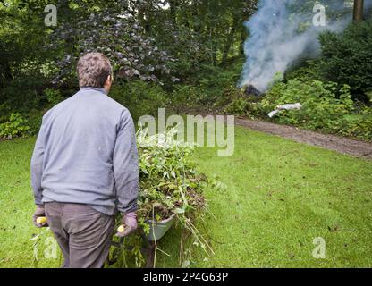 Giardiniere che brucia rifiuti di giardino su falò, Chipping, Lancashire, Inghilterra, Regno Unito Foto Stock