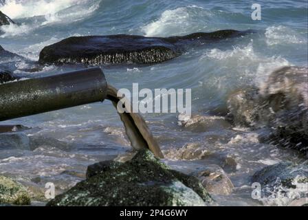 Scarico delle acque reflue in mare, Mar Mediterraneo, Spagna Foto Stock