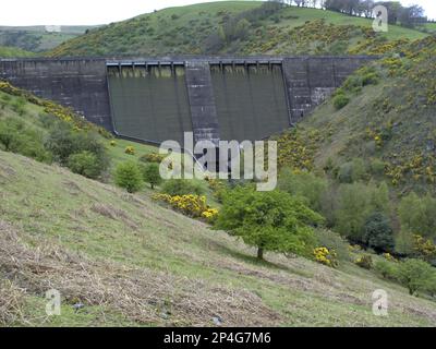 Vista della diga sul fiume, Meldon Dam, Meldon Reservoir, fiume Okement, Meldon, Dartmoor, Devon, Inghilterra, Regno Unito Foto Stock