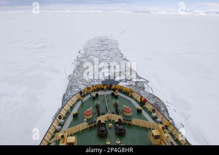 Rompighiaccio Kapitan Khlebnikov con i turisti, rompendo attraverso il ghiaccio pacchetto, Weddell Mare, Antartide Foto Stock