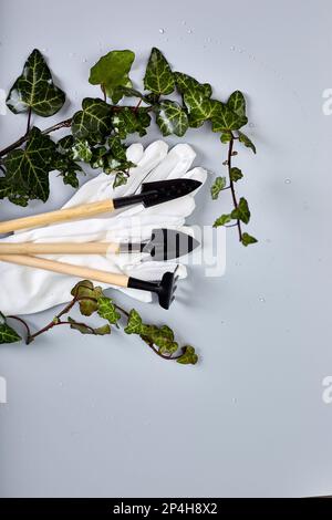 Attrezzi di giardinaggio, guanti, e foglie verdi su sfondo grigio, concetto di lavori del giardino di primavera, posa piatta, vista dall'alto. Foto Stock