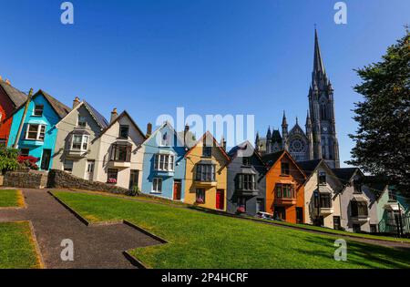 Row casa e la cattedrale a Cobh, Irlanda Foto Stock