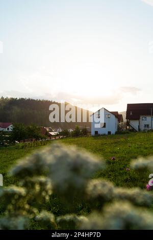 La casa su una collina circondata dalla natura e fiori Foto Stock