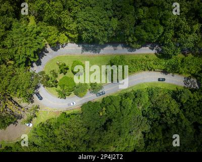 Splendida vista aerea per svoltare in strada nella verde foresta pluviale Foto Stock