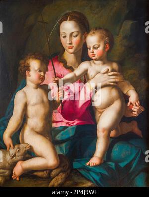 Madonna col Bambino di Agnolo di Cosimo, detto Bronzino o Agnolo Bronzino (1503 - 1572) - Galleria d'Arte per la regione Siciliana a Palazzo Abatelli - Palermo, Sicilia, Italia Foto Stock