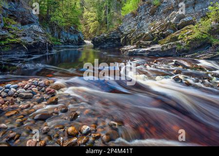 Vista estiva del Randolph's Leap sul fiume findhorn a Moray, scozia, regno unito Foto Stock