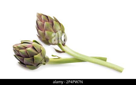 Due carciofi freschi isolati su sfondo bianco Foto Stock