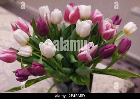 Un raro ed epico esempio di un bel bouquet simmetrico di tulipani viola e bianchi straordinatamente eleganti seduti in un vaso Foto Stock