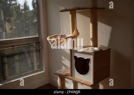 albero di gatto in legno in casa moderna. Un albero di gatto è una struttura artificiale per un gatto da giocare. Foto di alta qualità Foto Stock