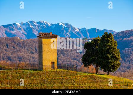 Vigneto a collina d'oro con montagna a Lugano, Ticino in Svizzera. Foto Stock