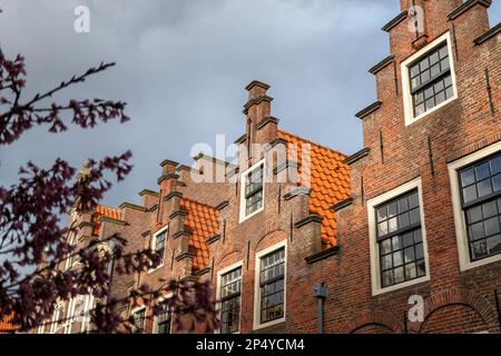 Case storiche a gradini a Haarlem, Olanda Foto Stock