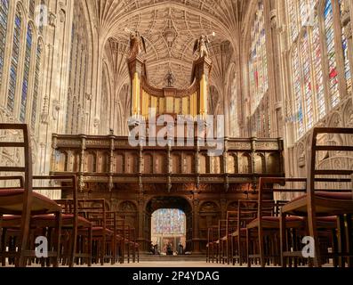 L'organo e lo schermo di quercia scuro sotto il soffitto a volta del ventilatore alla cappella fondata da Enrico VI al King's College, Università di Cambridge, Inghilterra. Foto Stock