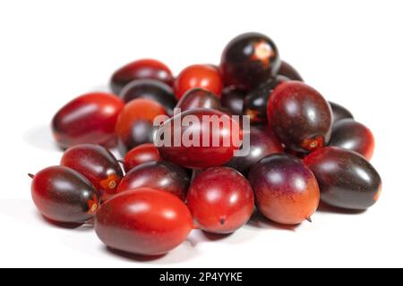 Pomodori prugna neri su sfondo bianco Foto Stock