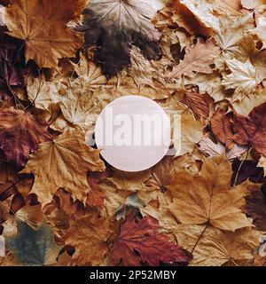 Autunno concept - sfondo di foglie autunnali asciutte con spazio per il testo al centro - podio rotondo in legno circondato da foglie autunnali, copia spac Foto Stock