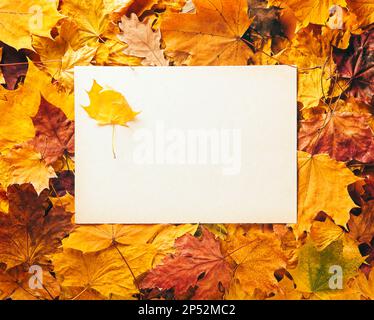 Concetto di autunno - sfondo di foglie autunnali asciutte cadute con spazio per il testo al centro - foglio bianco di carta circondato da foglie autunnali, copia spa Foto Stock