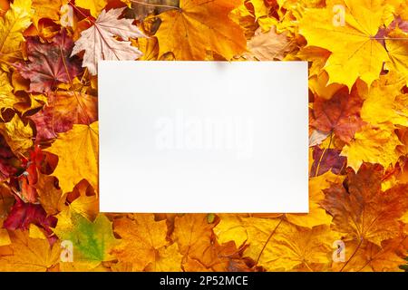 Concetto di autunno - sfondo di foglie autunnali asciutte cadute con spazio per il testo al centro - foglio bianco di carta circondato da foglie autunnali, copia spa Foto Stock