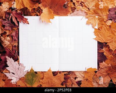 Concetto di autunno - sfondo di foglie autunnali asciutte e cadute con spazio per il testo al centro - diario bianco circondato da foglie autunnali, spazio di copia Foto Stock