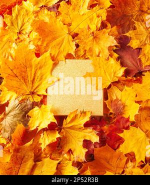 Concetto di autunno - sfondo delle foglie di acero autunno dry caduto con spazio per il testo al centro - piazza podio dorato circondato da foglie d'autunno, co Foto Stock