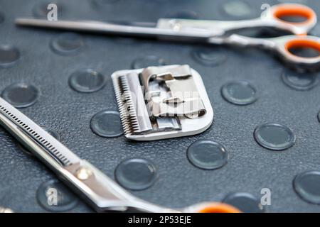 Attrezzi del groomer dell'animale domestico sul tavolo nella clinica del veterinario. Lame per rasoi elettrici e forbici cromate per la cura degli animali Foto Stock