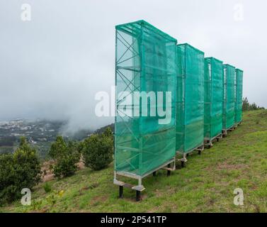 Raccolta di nubi, reti antinebbia, reti utilizzate per raccogliere l'acqua dalle nubi basse/nebbia/nebbia in montagna a Gran Canaria, Isole Canarie, Spagna Foto Stock