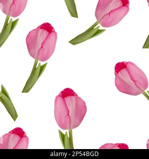 Motivo senza cuciture di tulipani rosa su sfondo bianco. Foto Stock