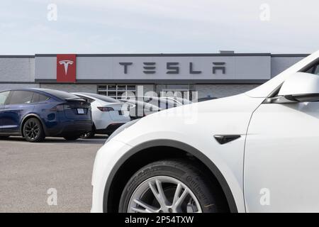 Indianapolis - circa marzo 2023: Veicoli elettrici Tesla EV in esposizione. I prodotti Tesla includono auto elettriche, stoccaggio dell'energia delle batterie, pannelli solari e. Foto Stock